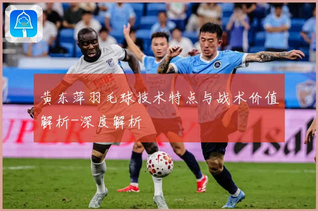 黄东萍羽毛球技术特点与战术价值解析-深度解析